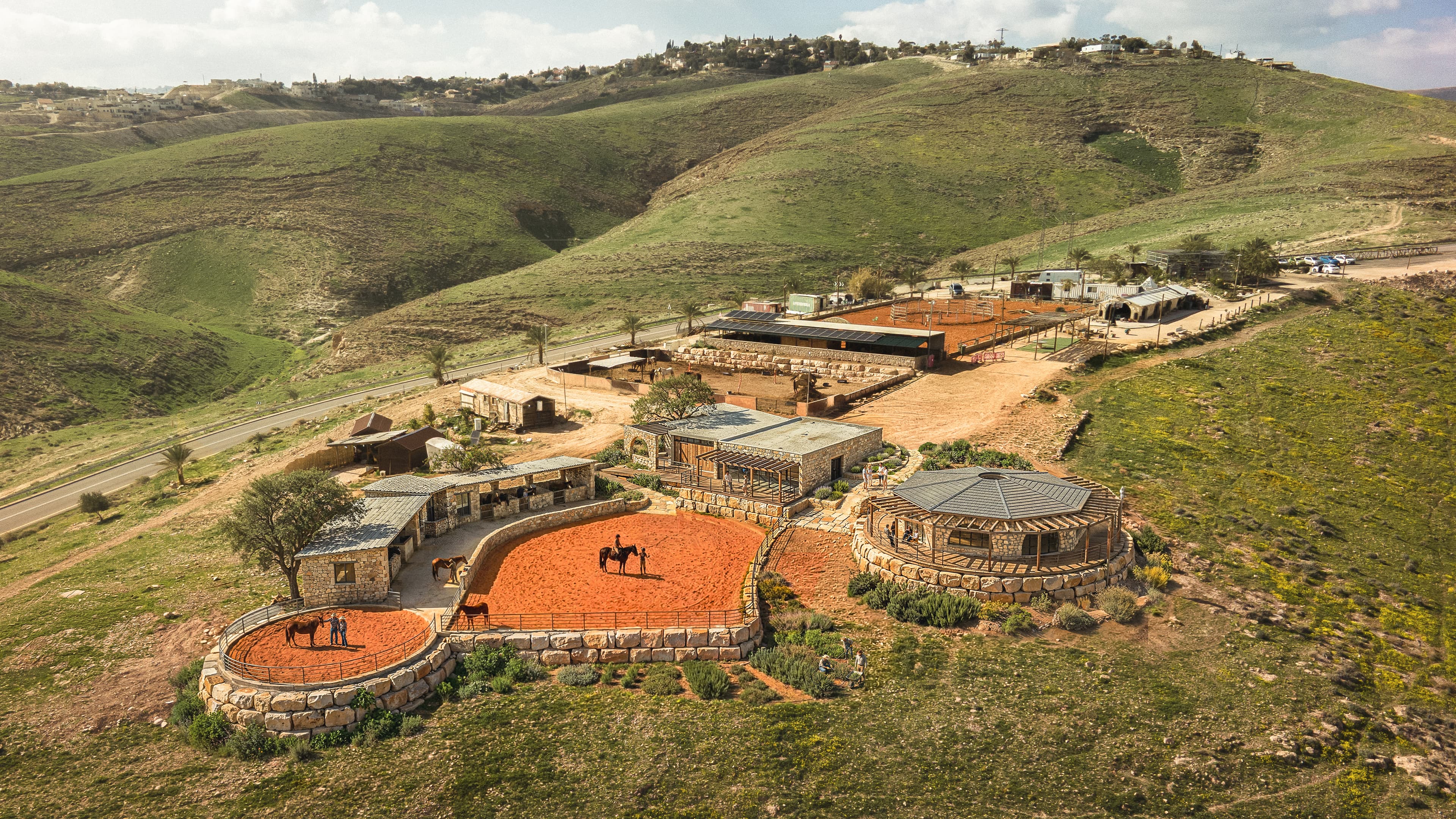 Therapeutic horse farm — Alon